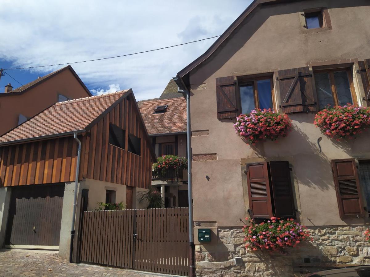 Appartement Duplex Chez Sandra Ottrott Εξωτερικό φωτογραφία